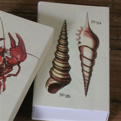 MATCHES - NAUTICAL SEASHELLS - Portico Indoor & Outdoor Living Inc.