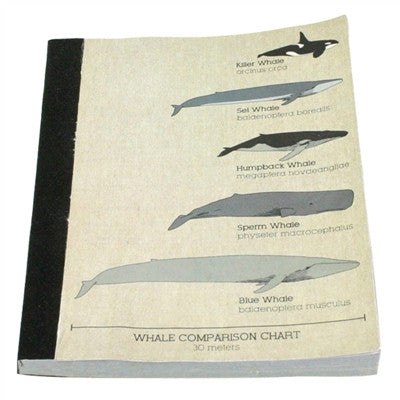 JOURNAL - RECLAIMED PAPER WHALE - Portico Indoor & Outdoor Living Inc.