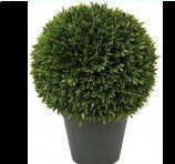 Podocarpus Ball Topiary - 13" - Portico Indoor & Outdoor Living Inc.