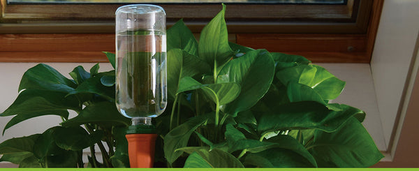 Recycle a Bottle Plant Nanny Stake-Singles - Portico Indoor & Outdoor Living Inc.