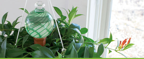 Plant Nanny - 12oz Assorted Colored Spiral Fluted Watering Globe - Portico Indoor & Outdoor Living Inc.