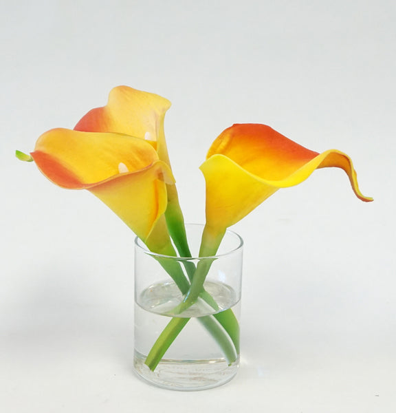 CALLA - FLAME - Portico Indoor & Outdoor Living Inc.