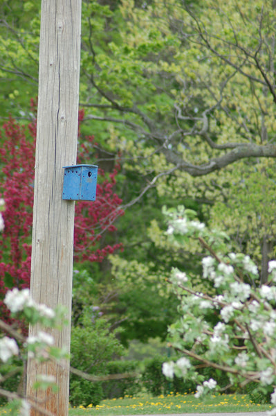 NESTING BOX - BLUE ORCHARD - Portico Indoor & Outdoor Living Inc.